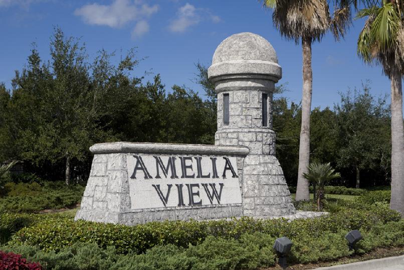 Amelia view